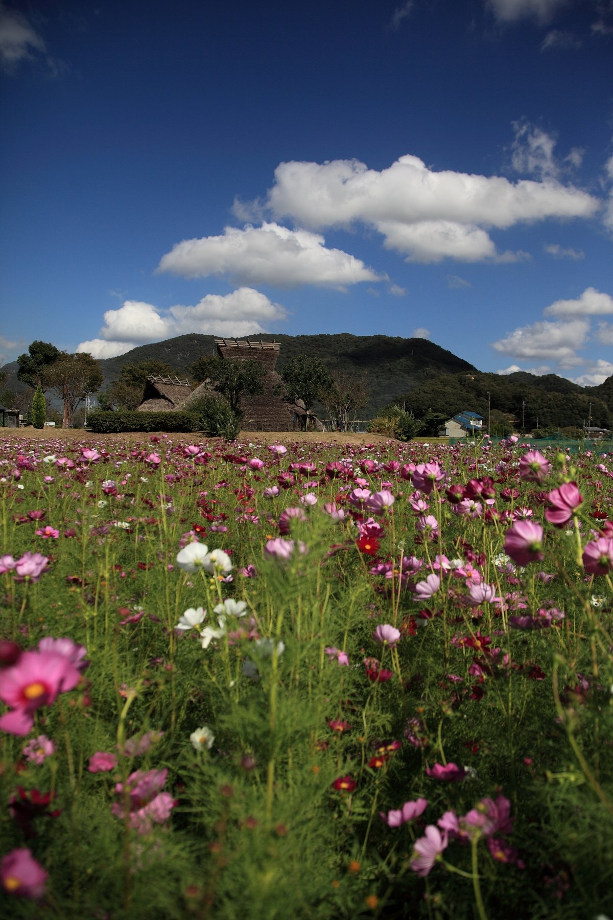 東有年古墳公園