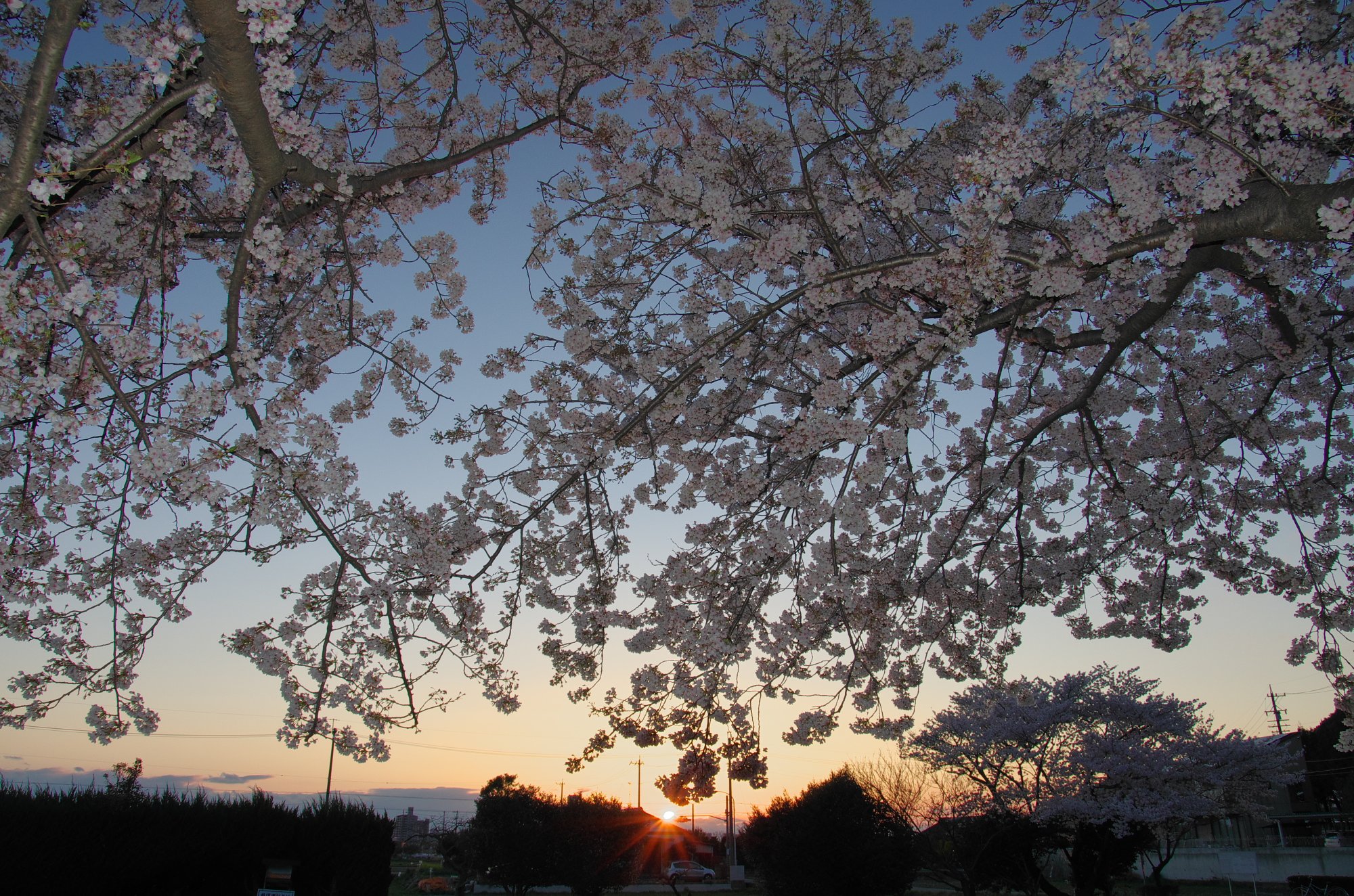 春暮れる