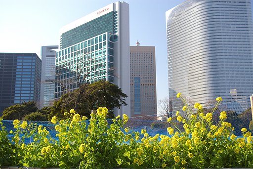浜離宮はこんなです