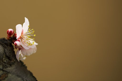 しっとりと