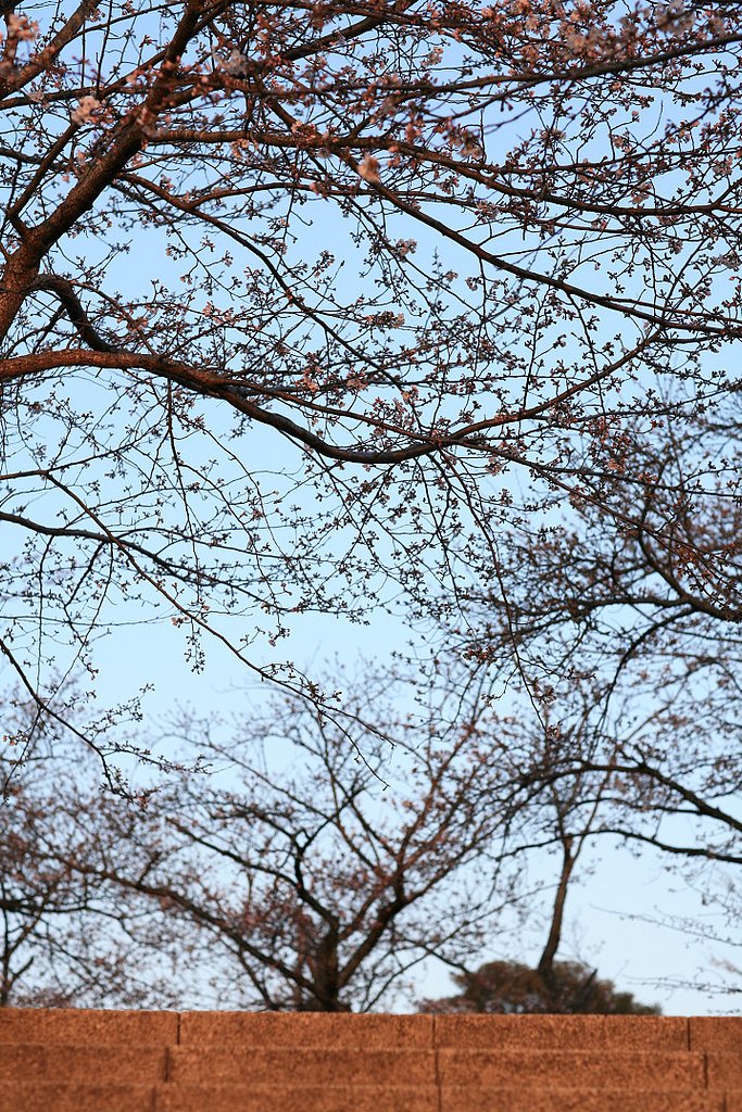 夕日を眺めて