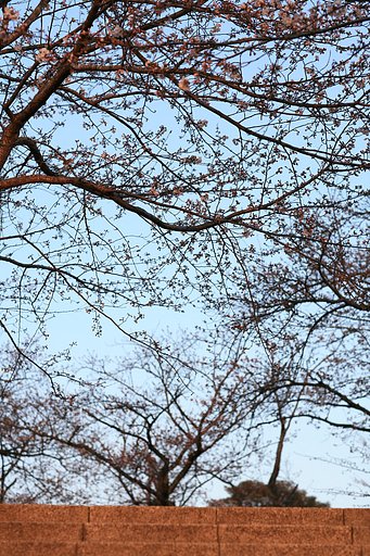 夕日を眺めて