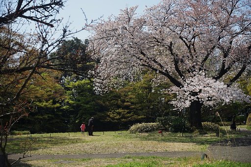 すみれば自然庭園　Ⅱ
