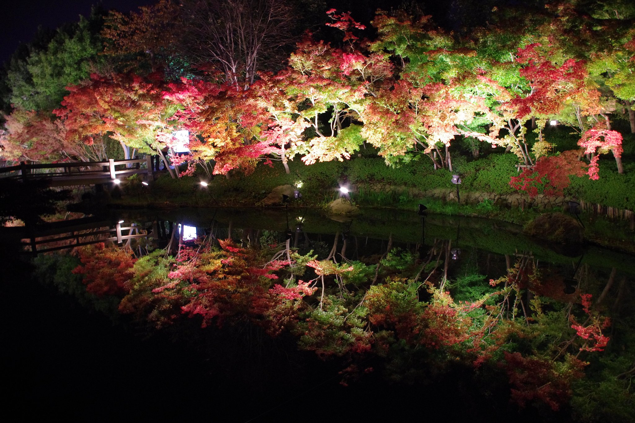紅葉なばなの里