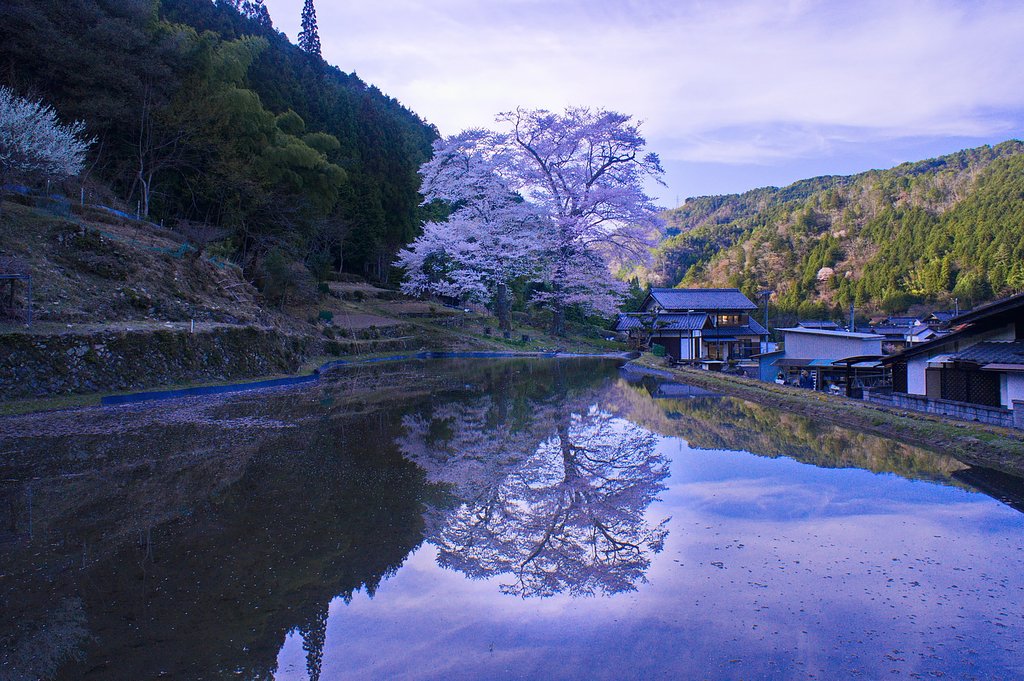 写り【心】