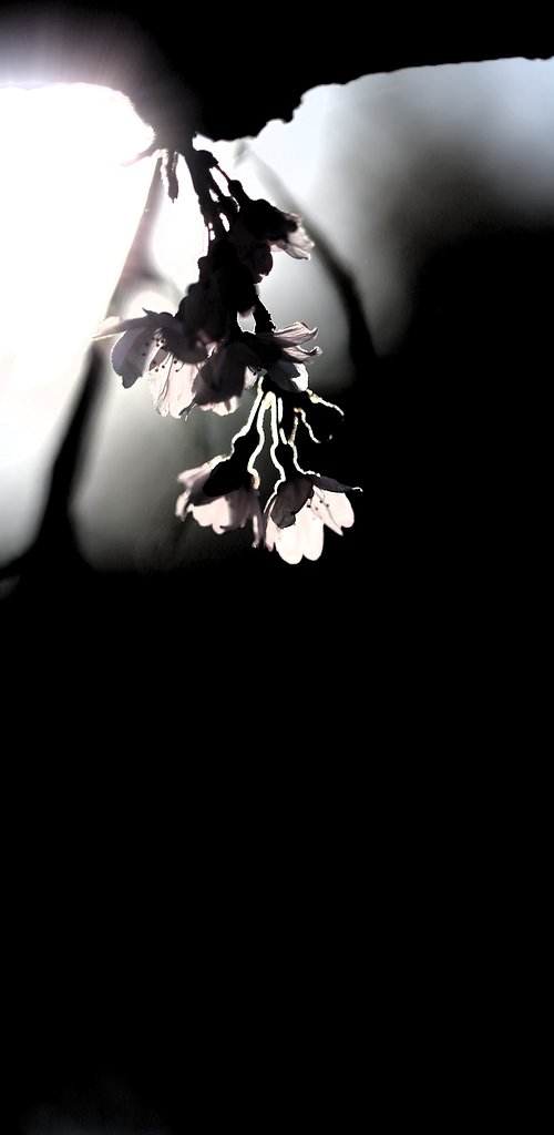 希望