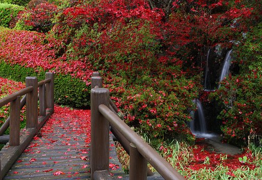 ゆく秋を 染めしながめの 満願寺