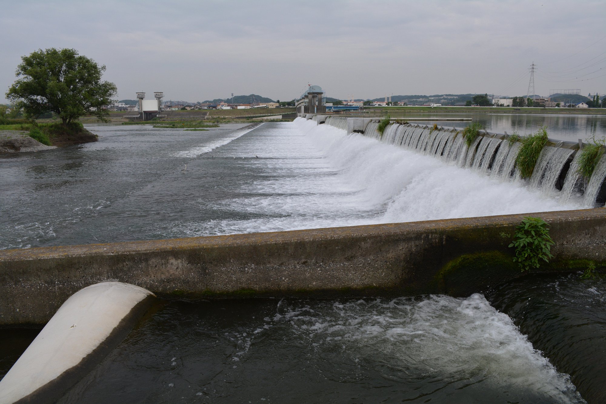 梅雨の堰