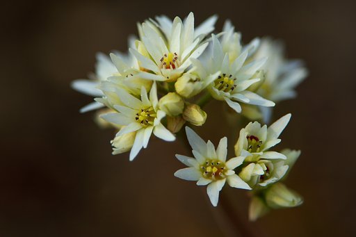 3月25日の写真