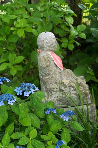 お地蔵さんと紫陽花