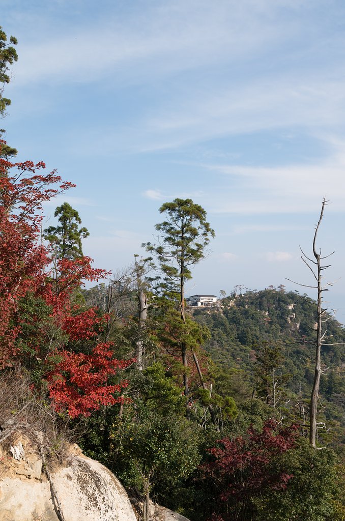 宮島１９