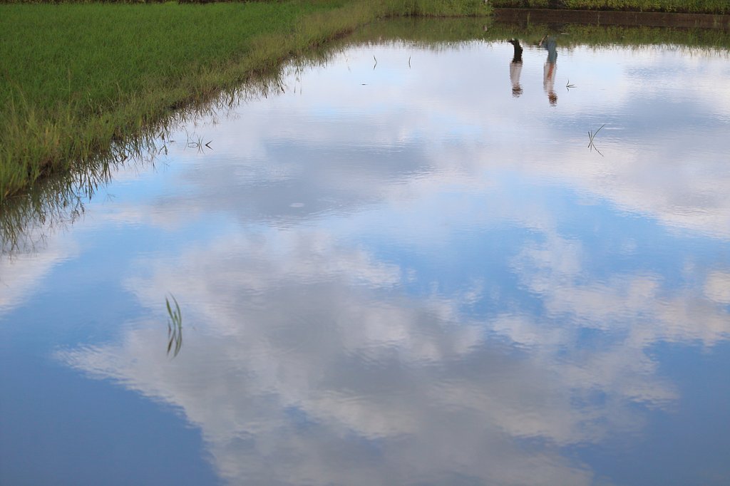 梅雨曇晴れて