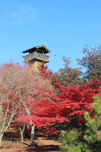 中世夢が原