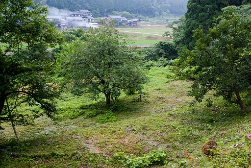 草刈り正雄な日・・。