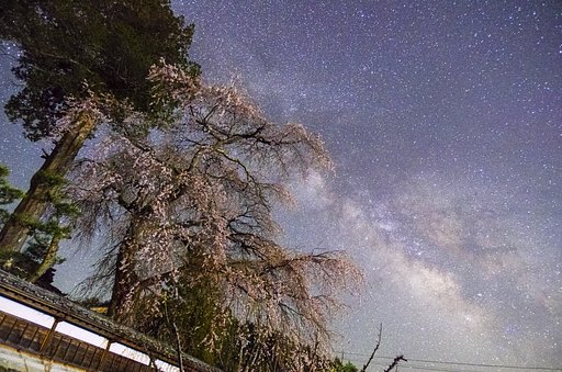 長野遠征