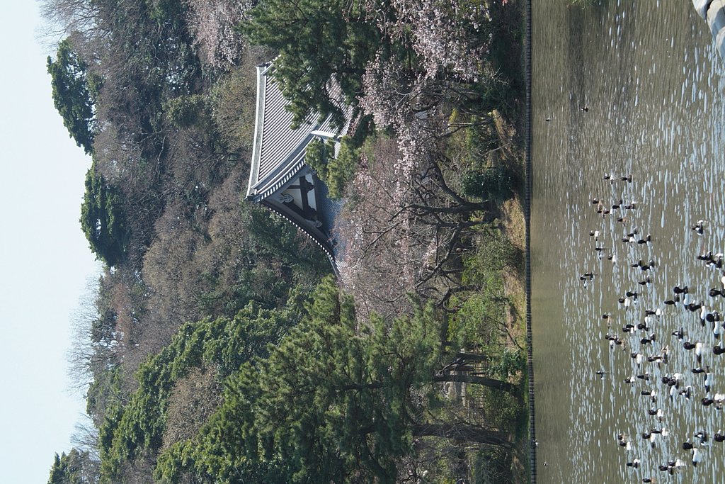横浜　三渓苑