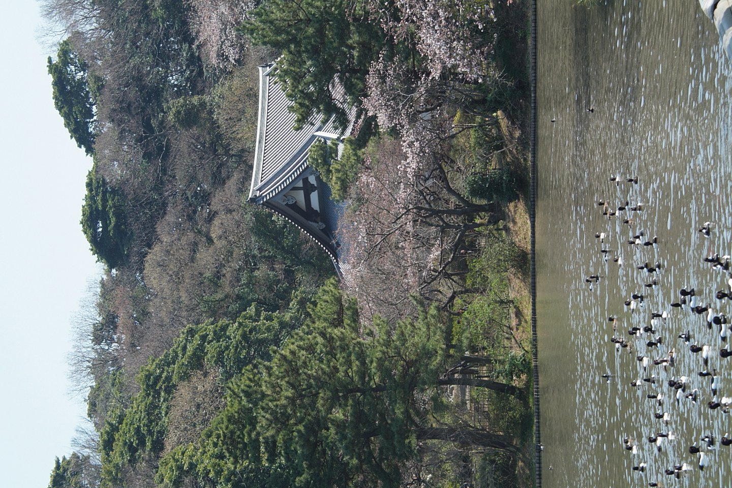 横浜　三渓苑