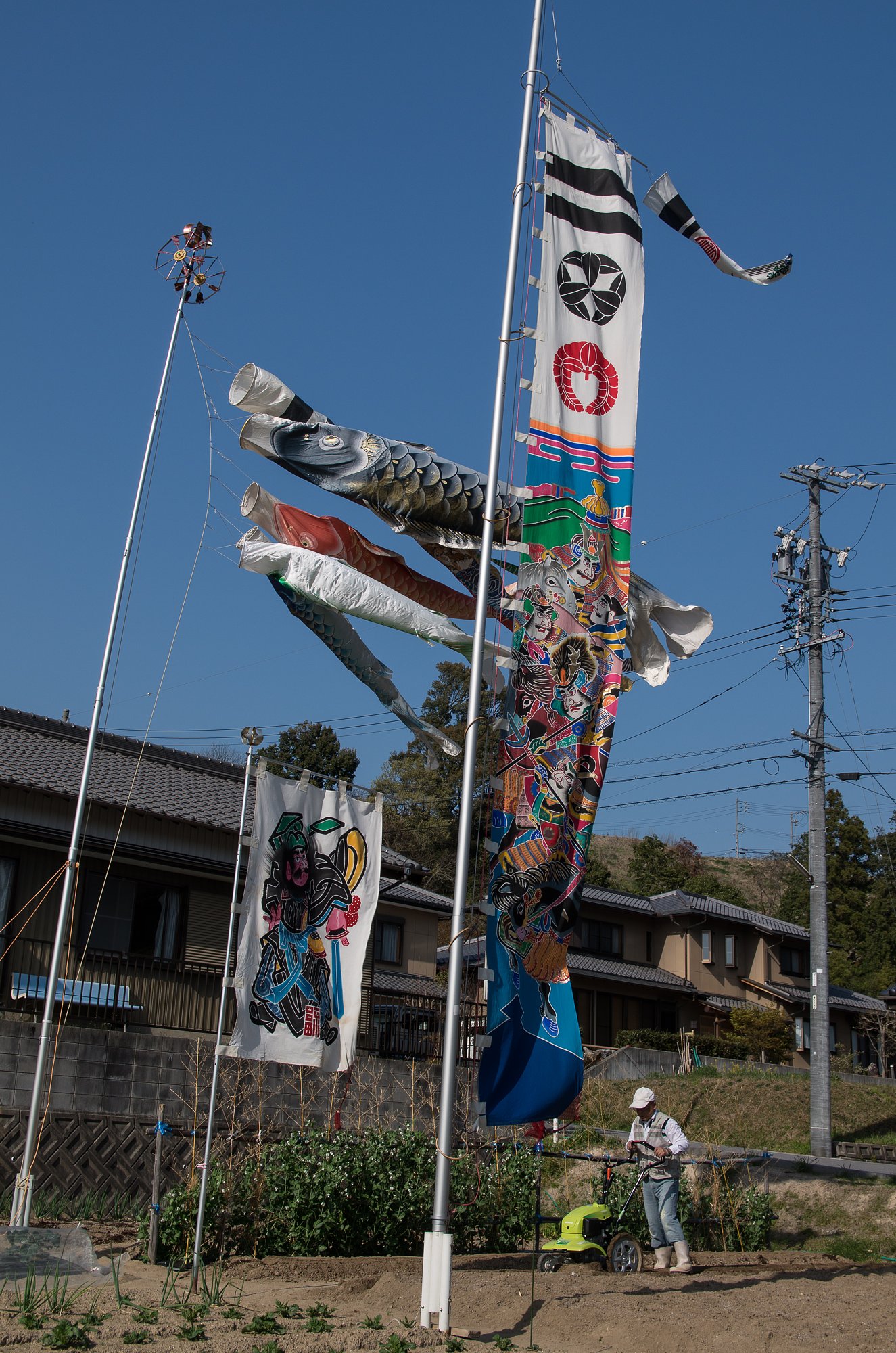親心泳ぐ
