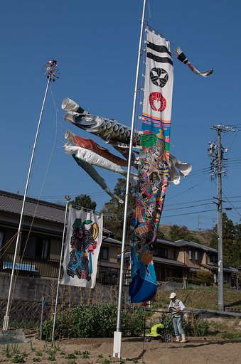 親心泳ぐ