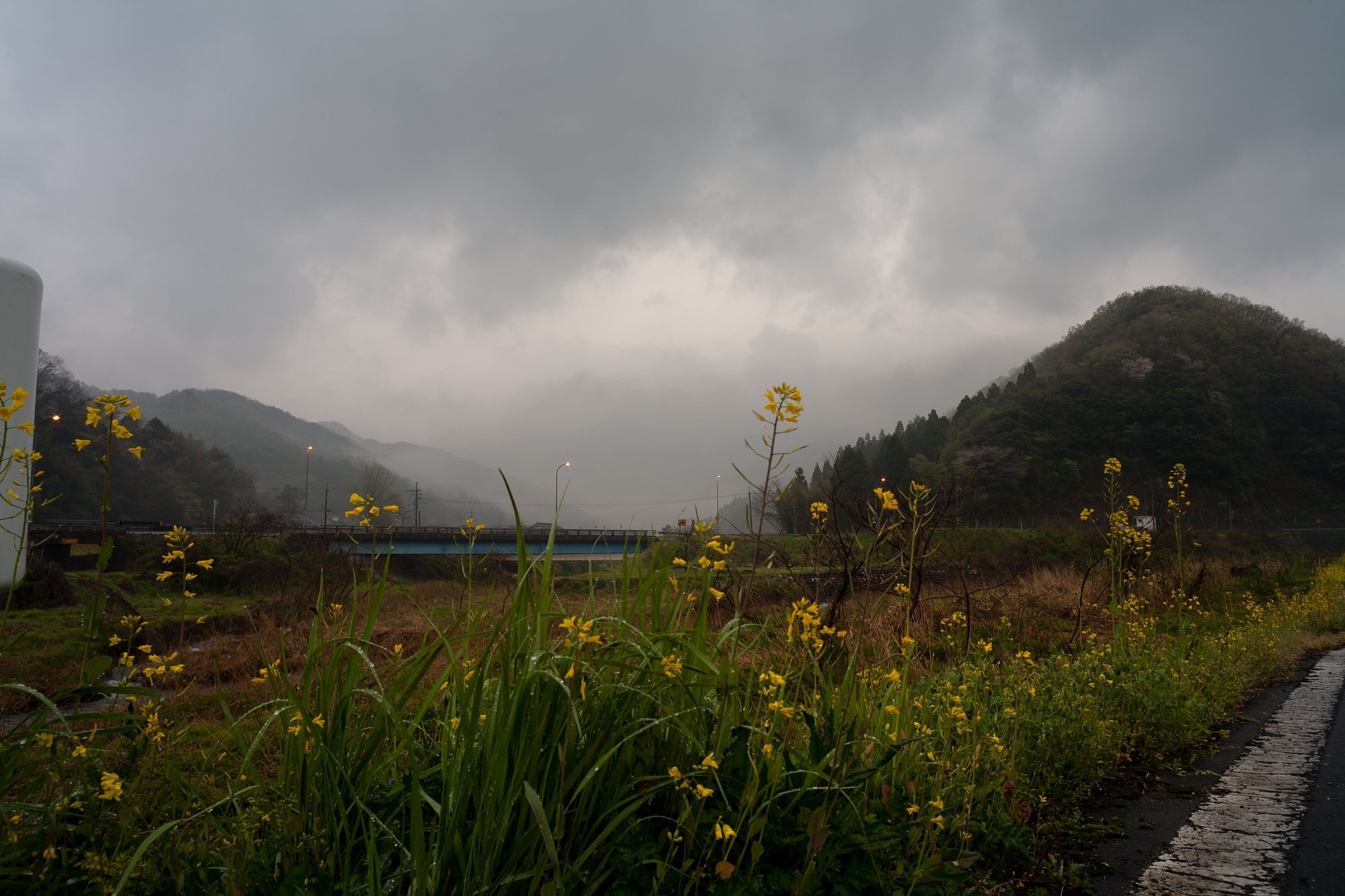 弱い雨。
