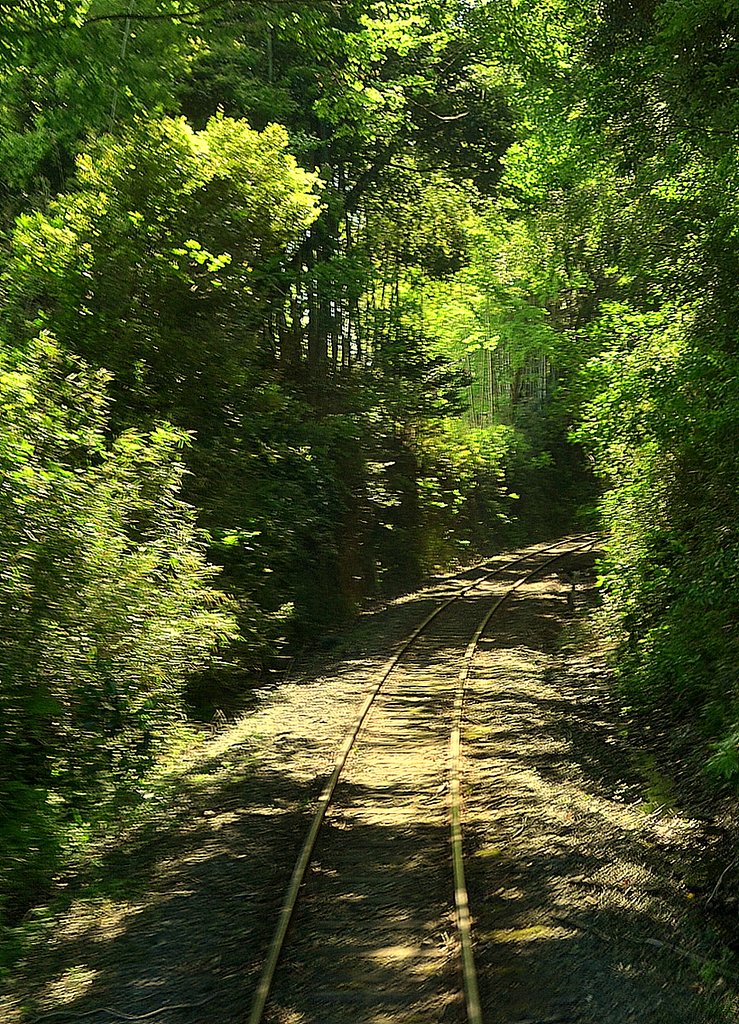 線路