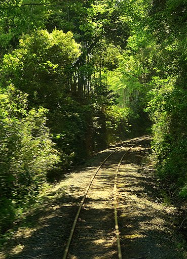 線路