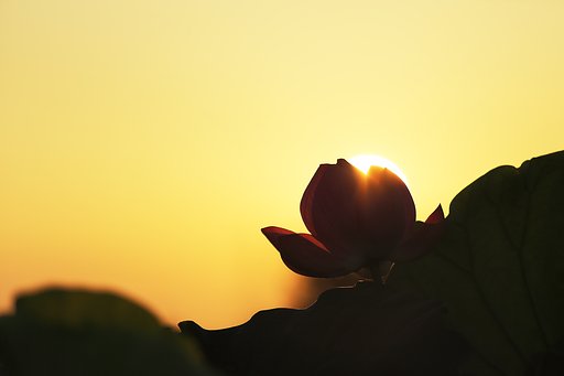 暑い日の始まり