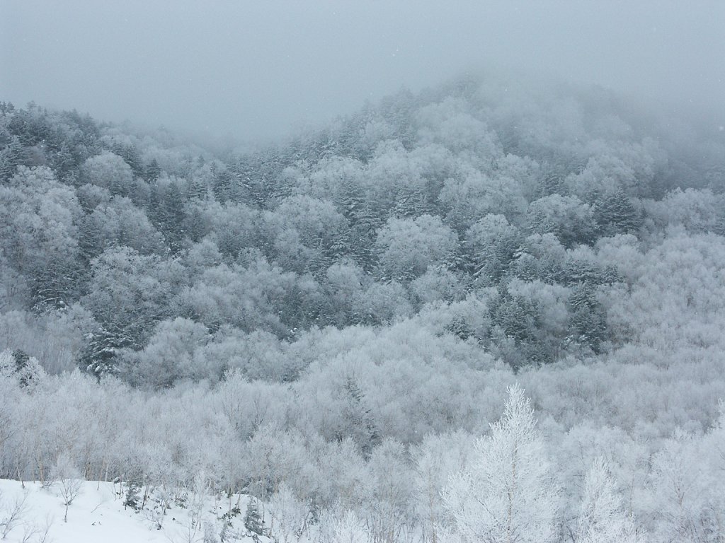 大雪長野