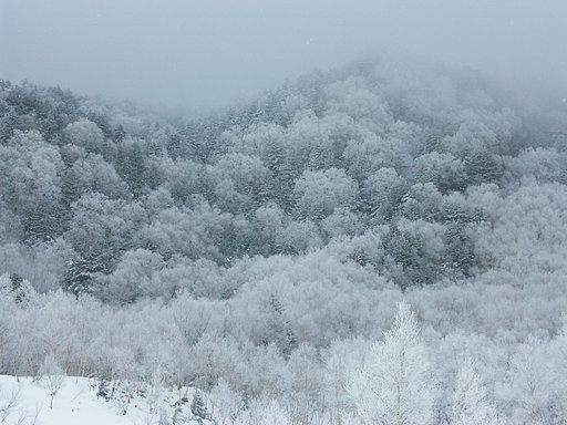 大雪長野