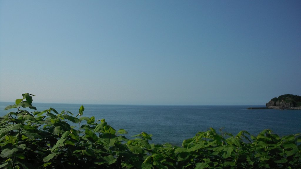 海2