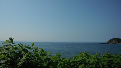海2