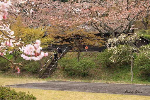 あぁ遅すぎた春