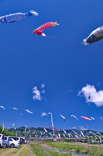 【５月】伊吹山が見えた