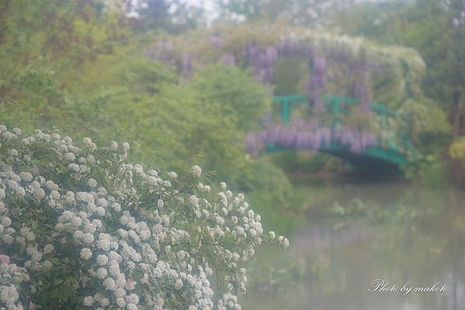 雨上交じりの庭園にて