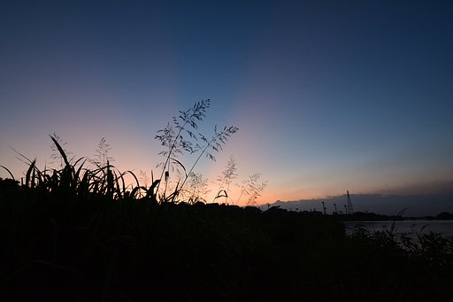 紅い光芒