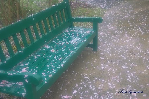 桜散るベンチに