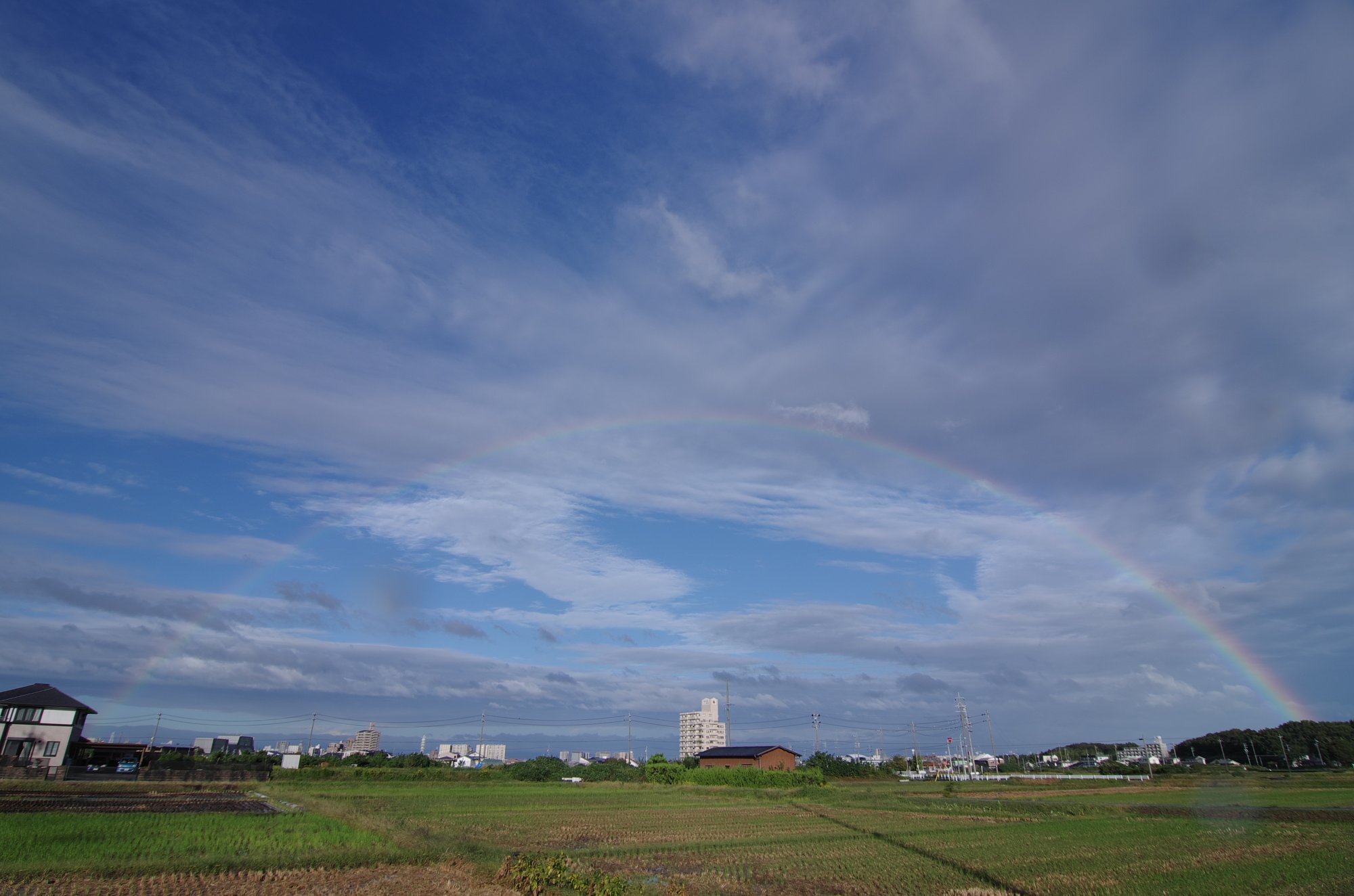 嵐の後に