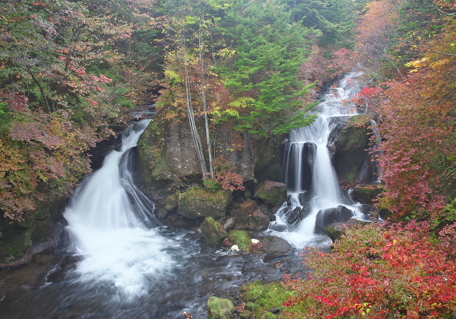 小雨降る竜頭の滝