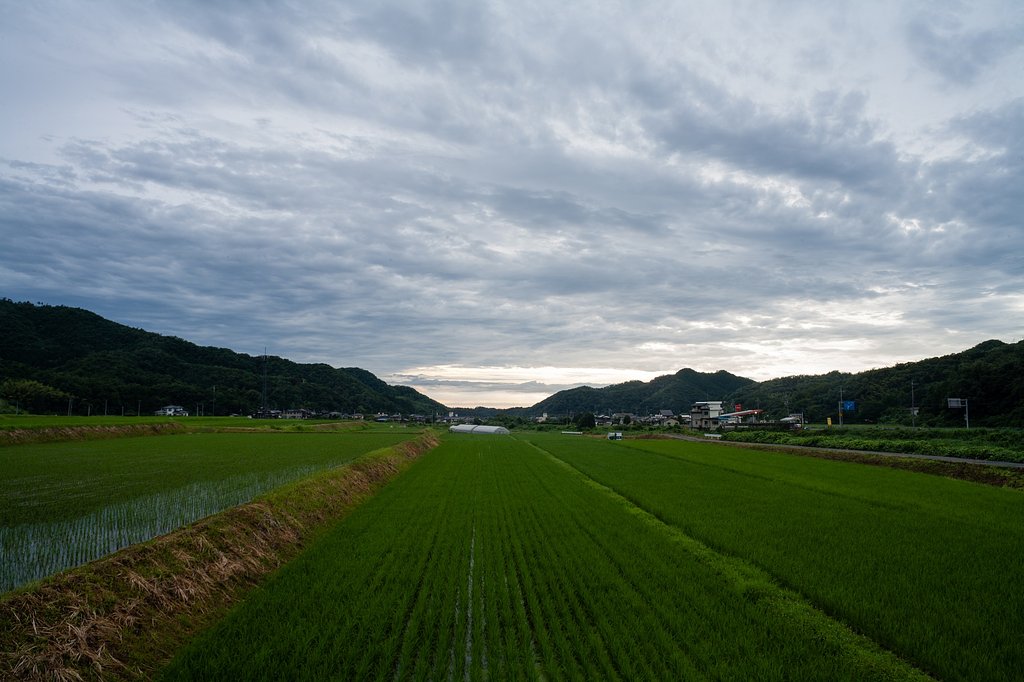 梅雨の雨雲・・。