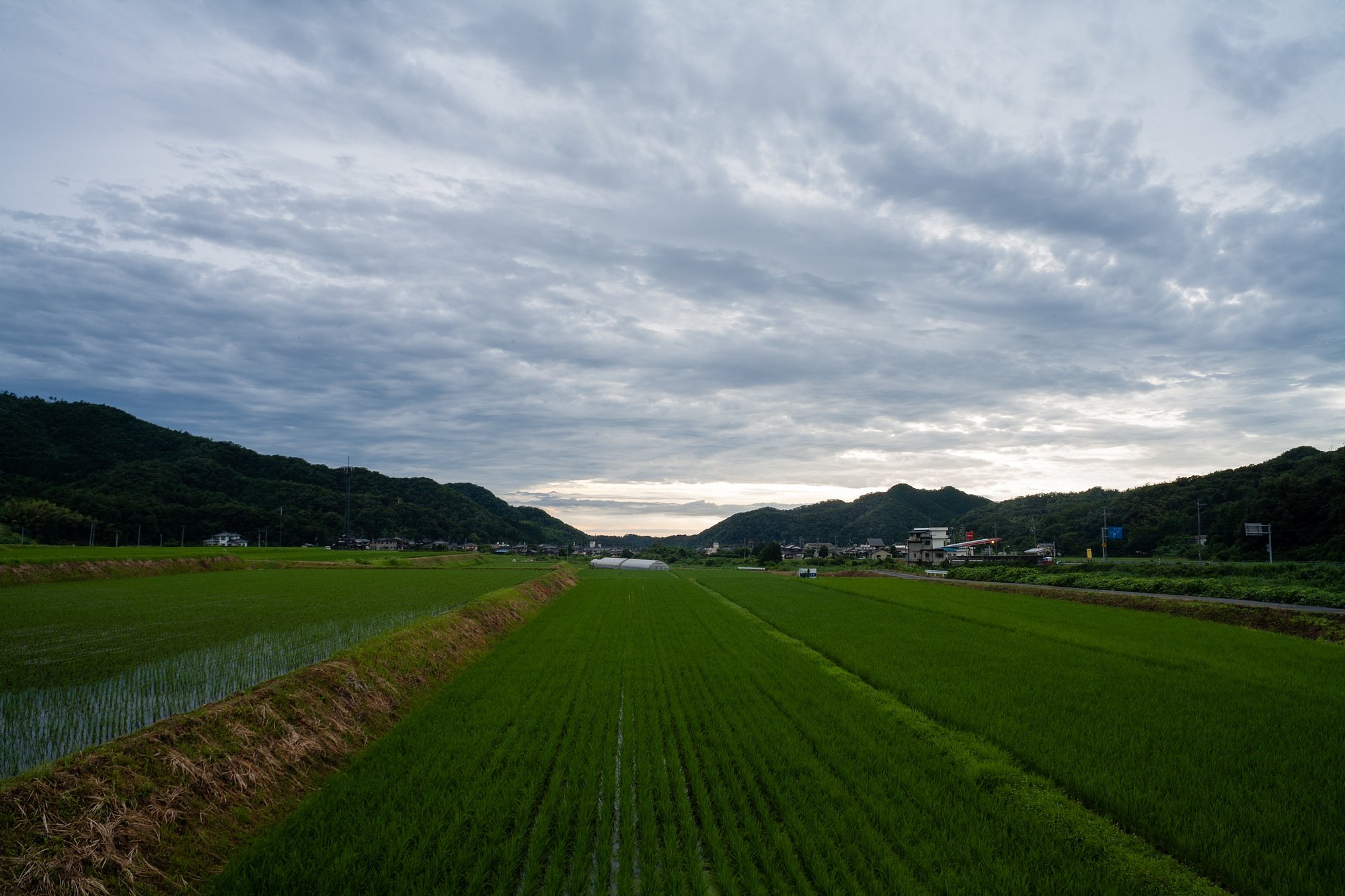 梅雨の雨雲・・。