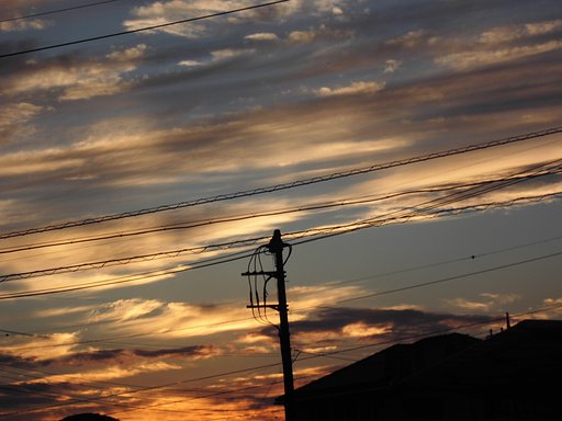 夕日