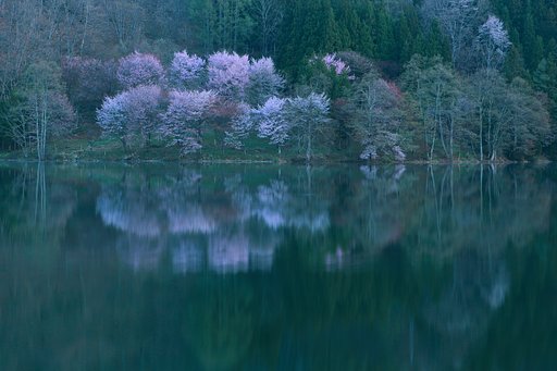 中綱湖の目覚め
