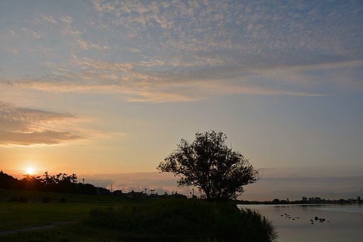 梅雨晴れの日の出