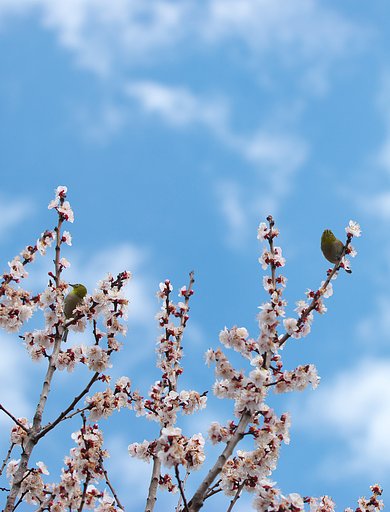 想定外・・・