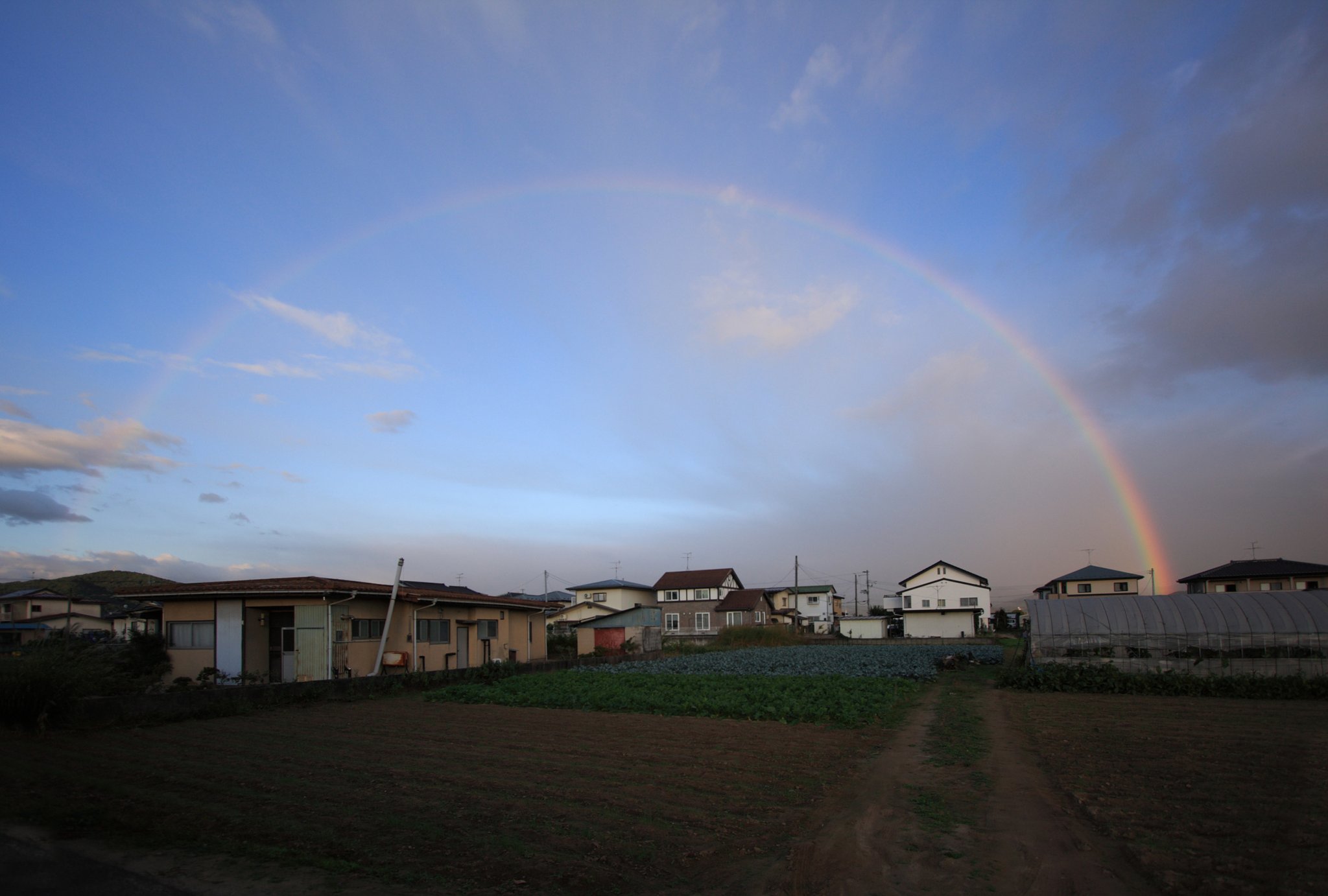 hi-liteさんの「Rainbow 」です