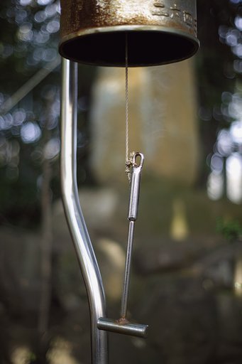 Y/C P50mmF1.4AEJ