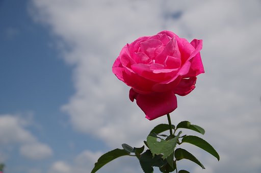 秋空