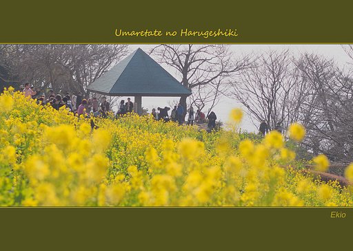 【いのち】生まれたての春景色