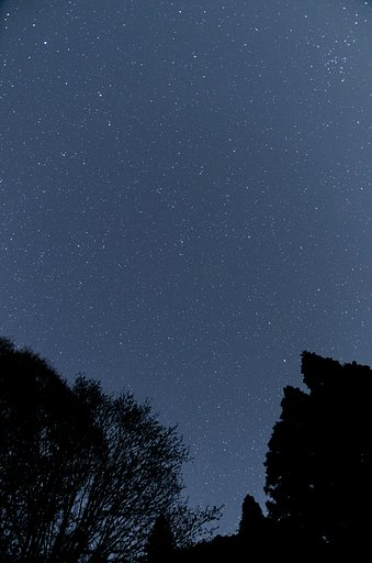 鷹ノ巣山にて　LM