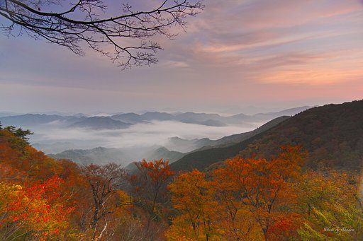 野迫川の秋